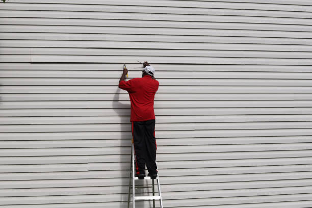 Best Fascia and Soffit Installation  in Lawrenceville, GA